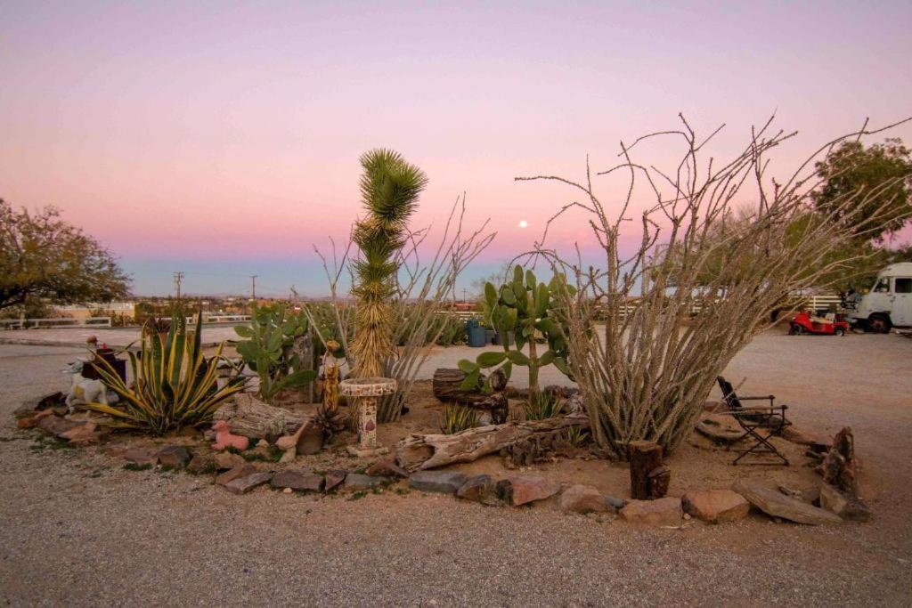 Joshua Tree Ranch House Motel - Downtown - Room #3 외부 사진
